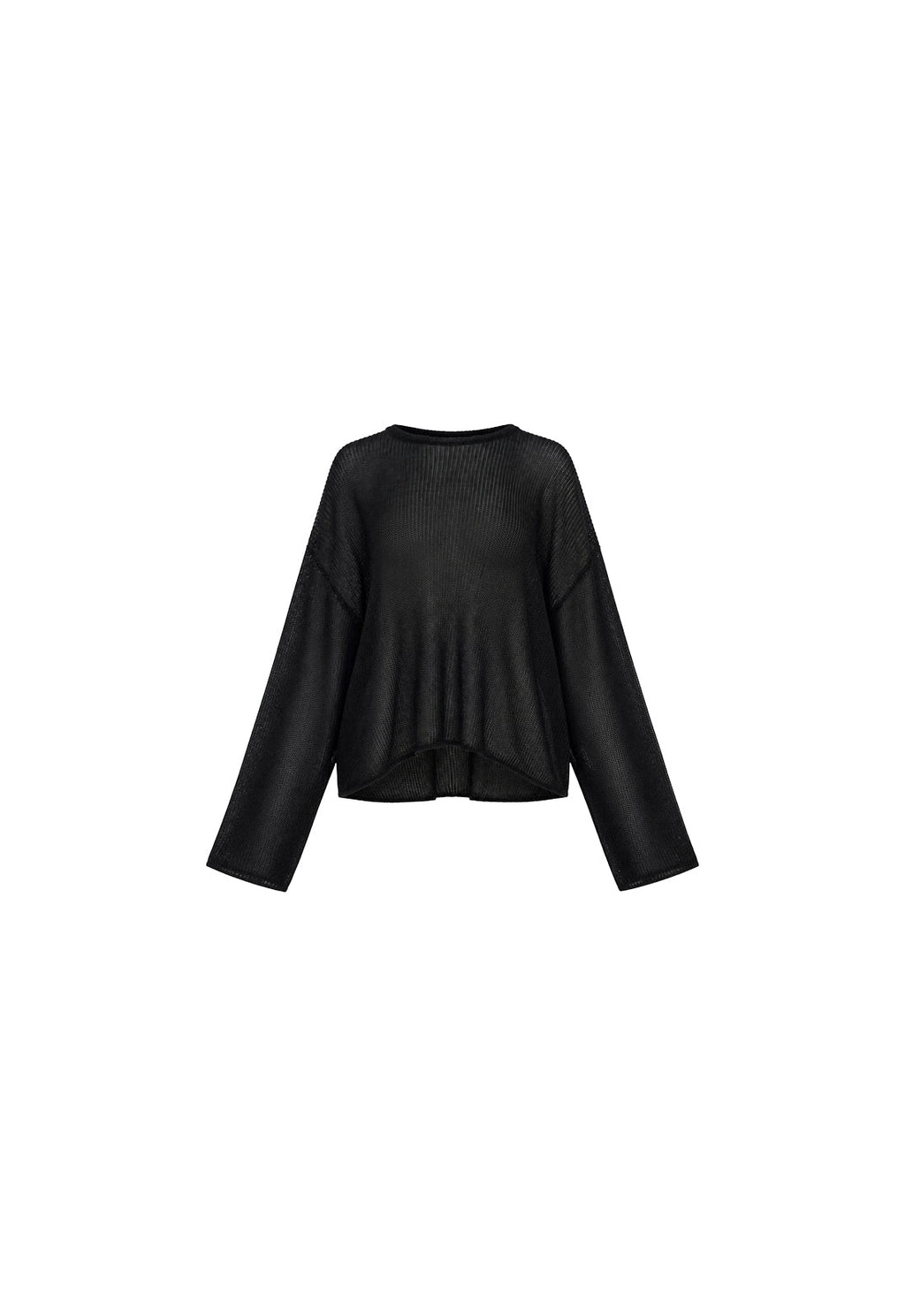 Sheer-Crew Long Sleeve