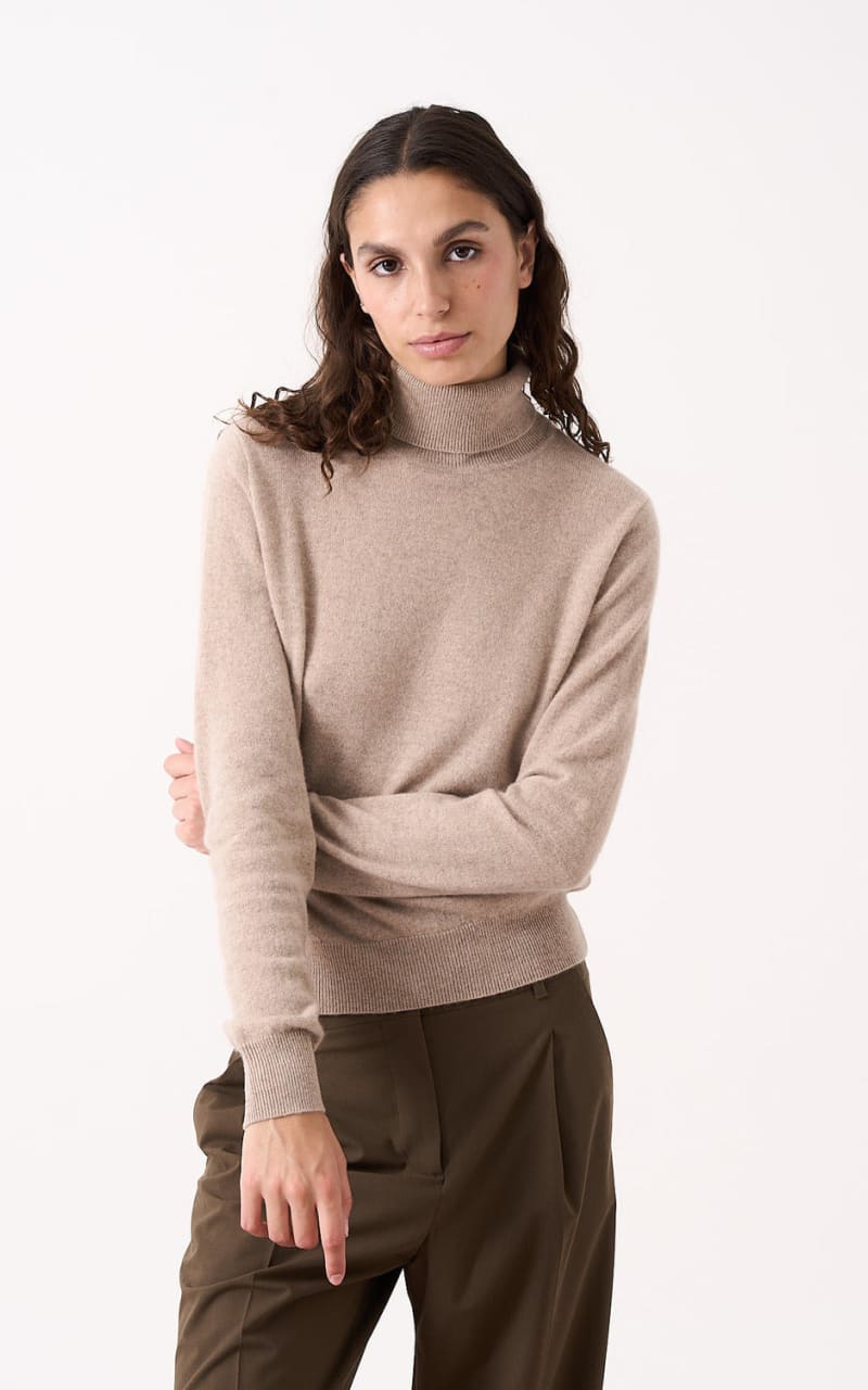 Absolut Cashmere- Turtleneck Sweater