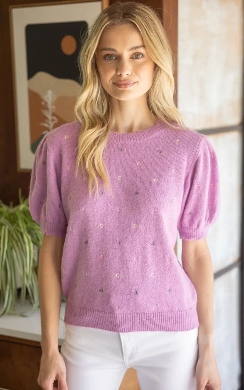Embroidered Short Sleeve Sweater
