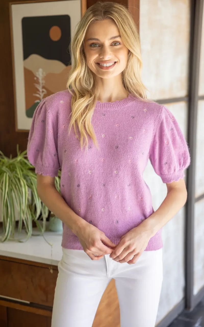 Embroidered Short Sleeve Sweater